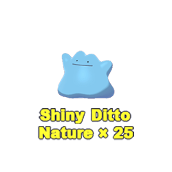 Ditto Bundle